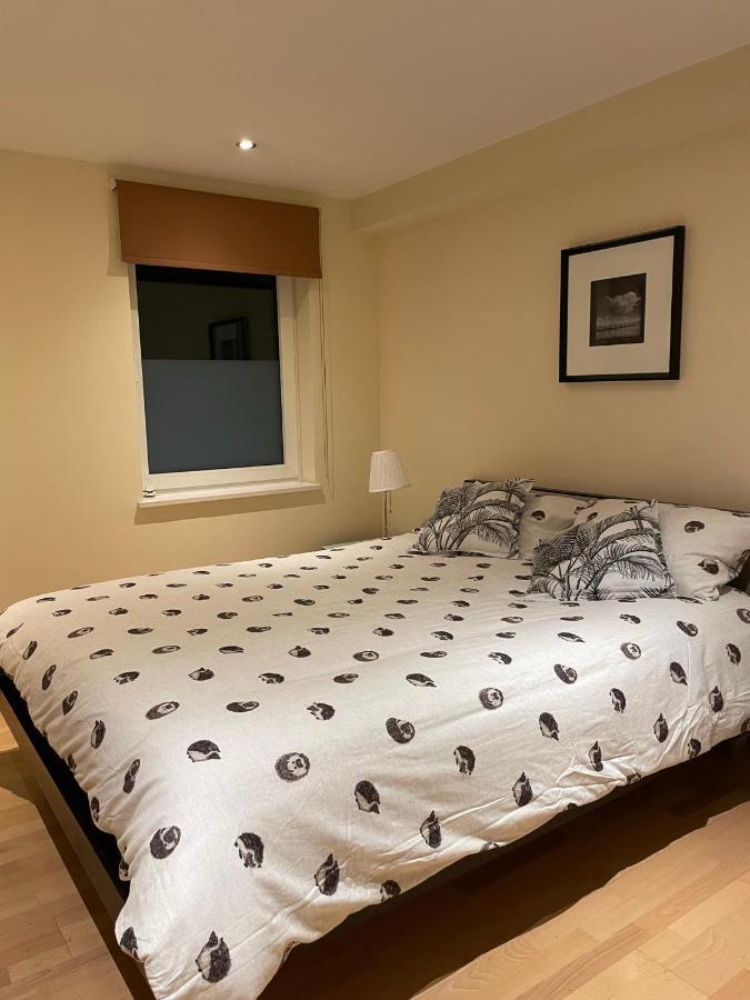 Modern Apartment In Central London By River Thames Εξωτερικό φωτογραφία
